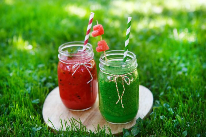 The Green Smoothie 7 Day Detox Diet Plan Review