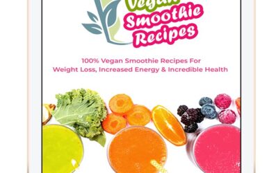 Vegan Smoothie Recipes Review